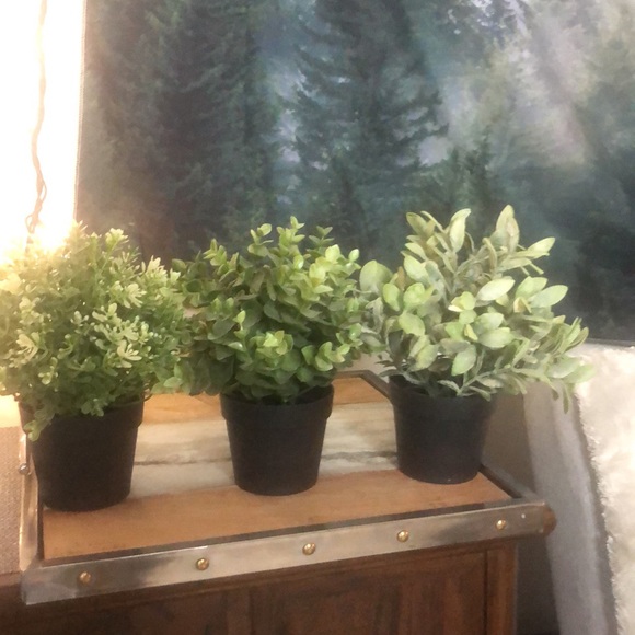 ❤️3/$30 IKEA fake plants 🪴 - Picture 2 of 8